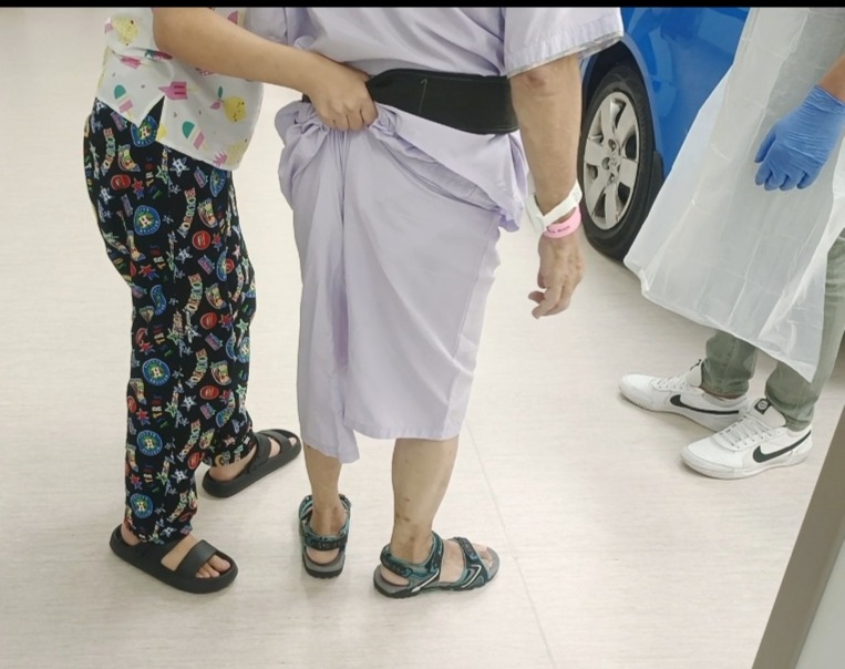 Helper assisting elderly person with walking